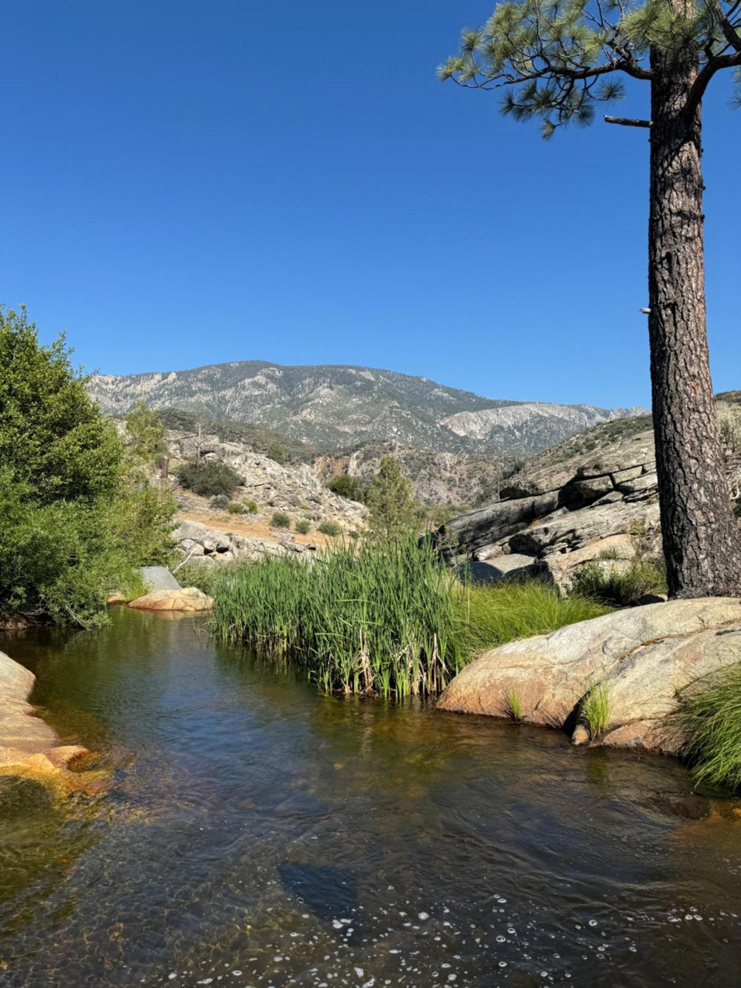 Peppermint Falls Ranch Ponderosa Buitenkant foto